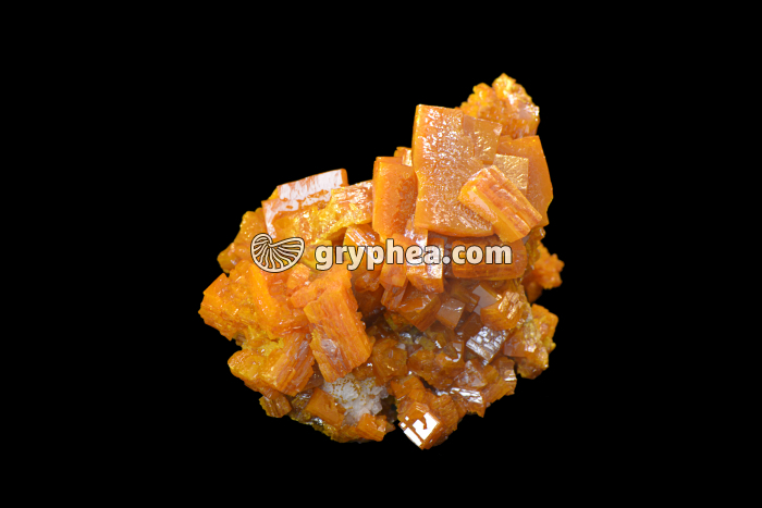 Wulfenite (Chihuahua, Mexico) - gryphea.org